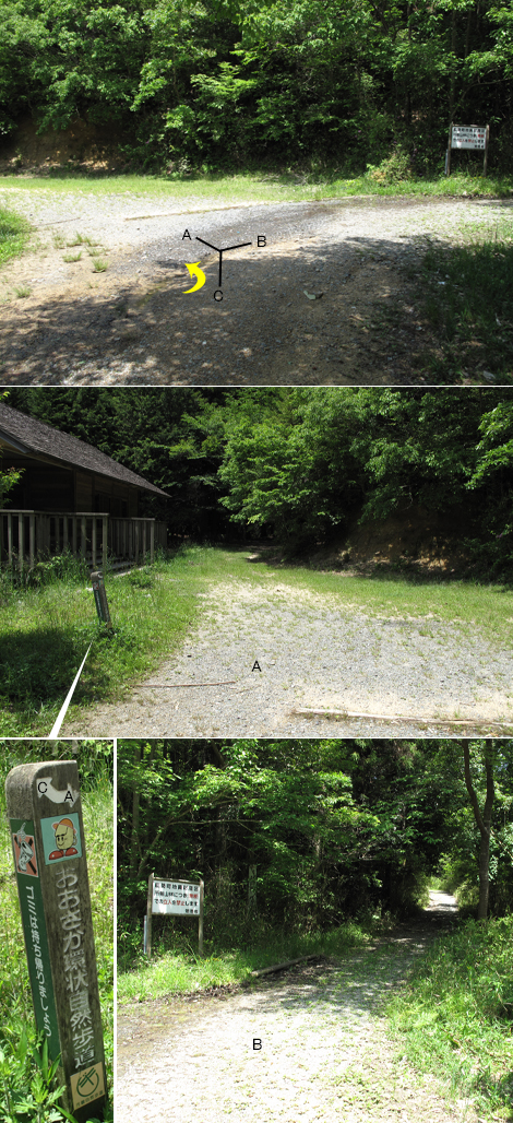 20140524hike (196)